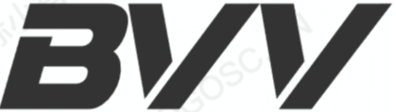 BVVshoes Store -